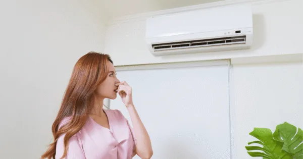 A woman is uncomfortable because the smell in her air conditioner. That's why she need DEEPCHILL Air conditioner odor removal services.