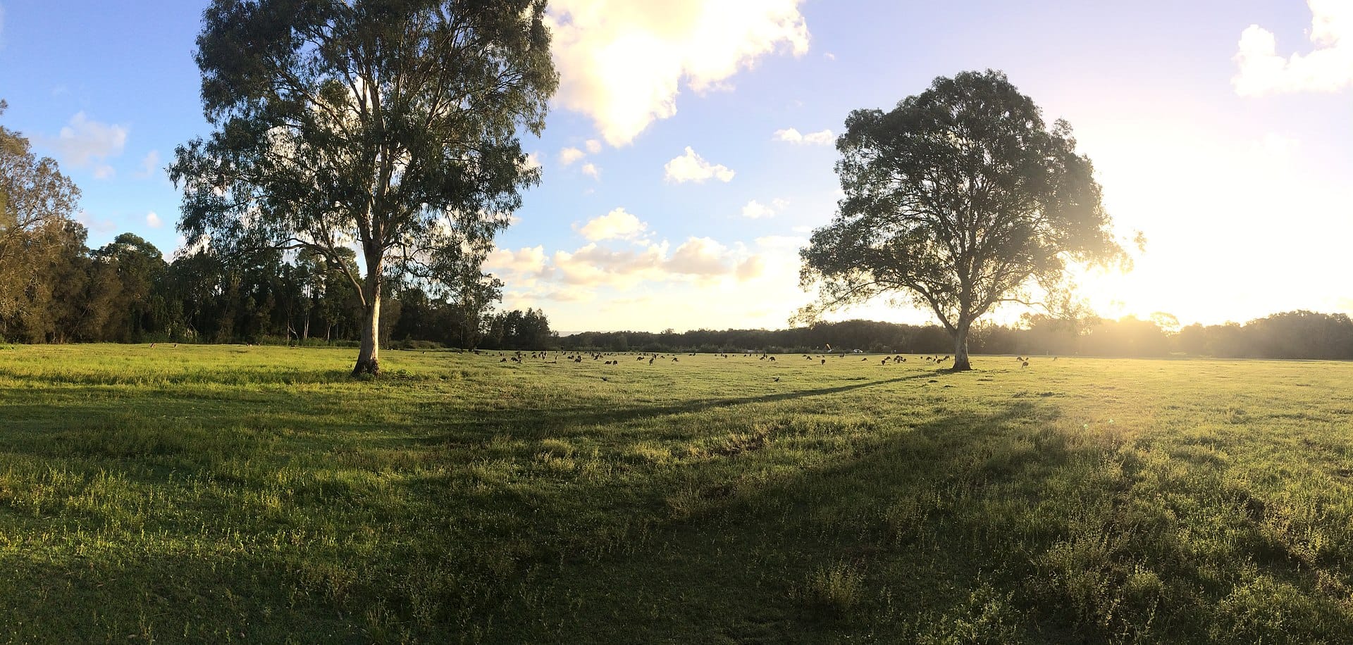 Air Conditioning services in Coombabah
