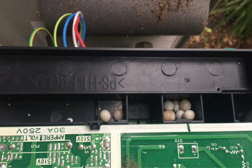 Inside view of an air conditioning unit showing multiple gecko eggs near the circuit board, highlighting the need for preventative gecko treatment and AC service Gold Coast to avoid infestations.