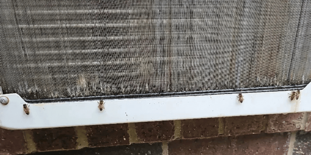 Close-up of bees in AC crawling on condenser surface – highlighting the need for vermin treatment, regular preventative maintenance, and trusted air conditioning service Gold Coast.