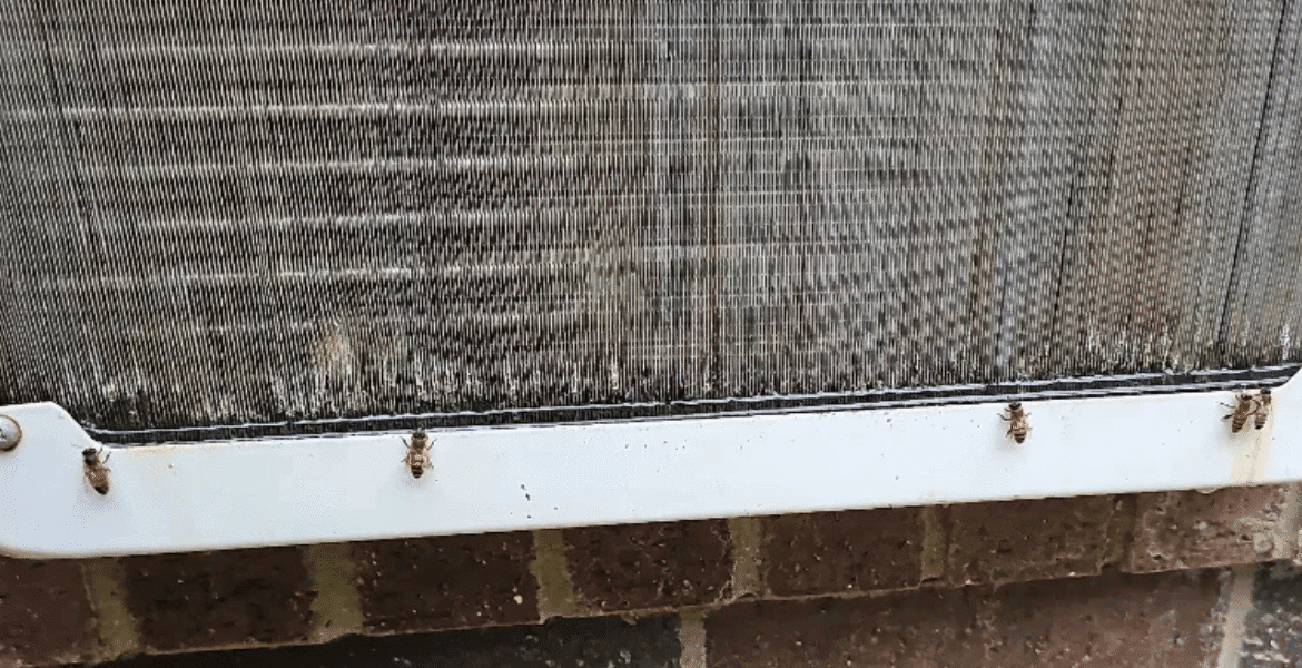 Close-up of bees in AC crawling on condenser surface – highlighting the need for vermin treatment, regular preventative maintenance, and trusted air conditioning service Gold Coast.