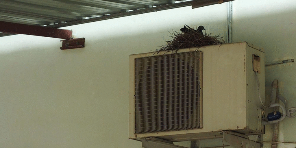 Outdoor AC system with a bird nest on top, showing how a bird nest in your air conditioner causes damage and how vermin treatment and preventative maintenance protect your system with professional air conditioning service Gold Coast.