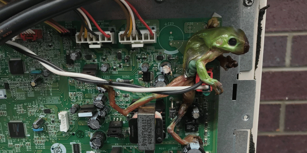A frog can short-circuit air conditioner by crawling onto the PCB board. Example shows need for vermin treatment, preventative maintenance, and professional air conditioning service Gold Coast.