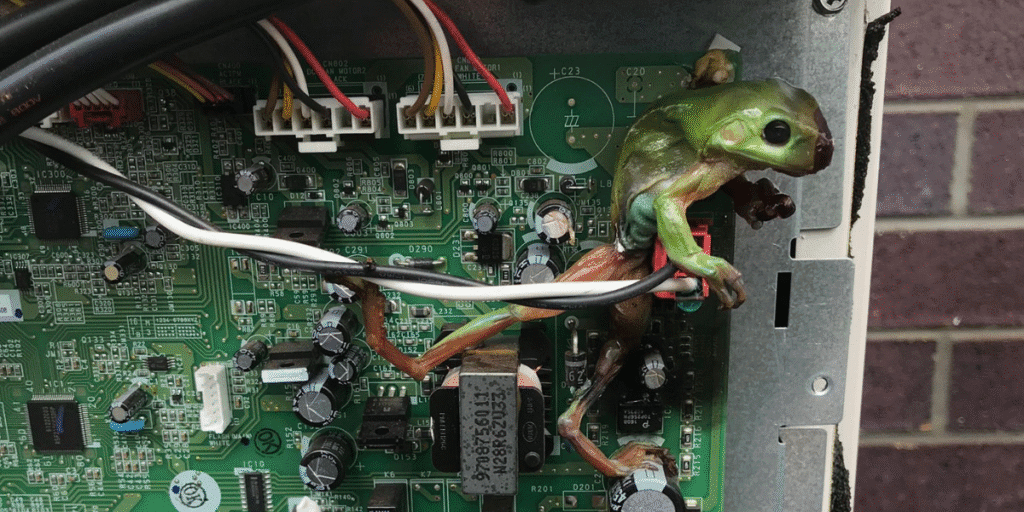 Green frog stuck on AC circuit board, causing damage and showing how a frog can short-circuit air conditioner. Vermin treatment and preventative maintenance help avoid costly repairs with air conditioning service Gold Coast.