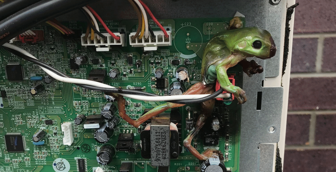 Green frog stuck on AC circuit board, causing damage and showing how a frog can short-circuit air conditioner. Vermin treatment and preventative maintenance help avoid costly repairs with air conditioning service Gold Coast.