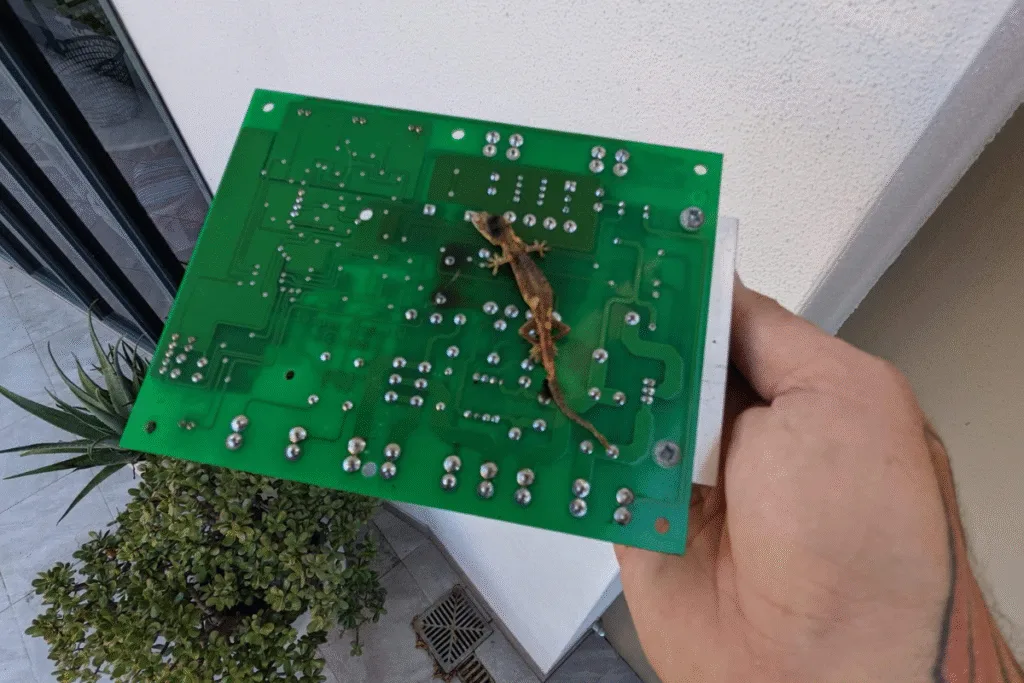 Burnt gecko stuck on green AC circuit board, showing severe gecko problem in air conditioning Gold Coast units.