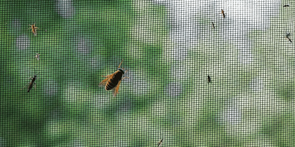 Close-up of insects and mosquitoes keep crawling into AC mesh screen, showing need for vermin treatment, preventative maintenance, and expert air conditioning service Gold Coast.