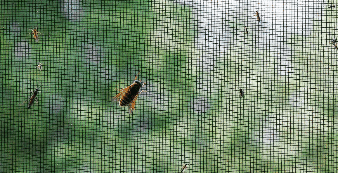 Close-up of insects and mosquitoes keep crawling into AC mesh screen, showing need for vermin treatment, preventative maintenance, and expert air conditioning service Gold Coast.