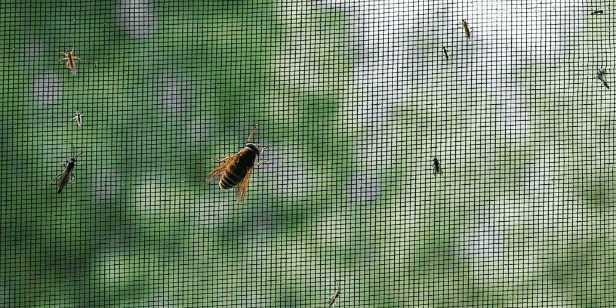 Close-up of insects and mosquitoes keep crawling into AC mesh screen, showing need for vermin treatment, preventative maintenance, and expert air conditioning service Gold Coast.