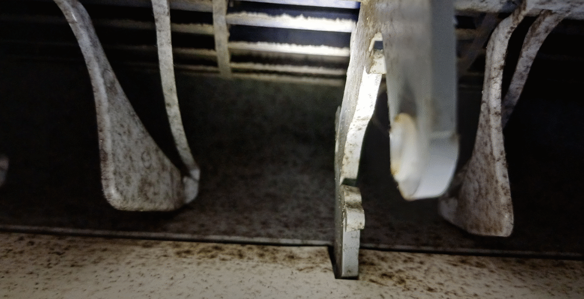 Mold in air conditioner buildup on internal fins and louvers, showing heavy dirt deposits and poor airflow — a common issue needing professional cleaning for air conditioning Gold Coast homes.