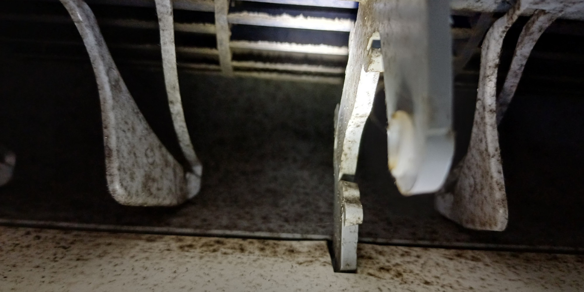 Mold in air conditioner buildup on internal fins and louvers, showing heavy dirt deposits and poor airflow — a common issue needing professional cleaning for air conditioning Gold Coast homes.