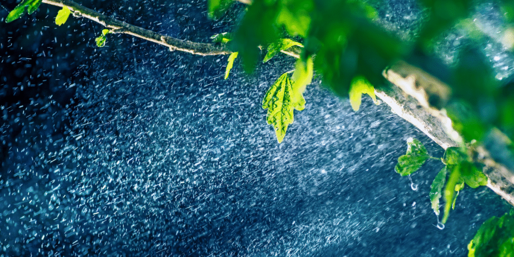 Strong coastal wind blowing rain through tree branches, illustrating how moisture and salt in the air can lead to outdoor unit leaking electricity and corrosion in air conditioning Gold Coast systems.