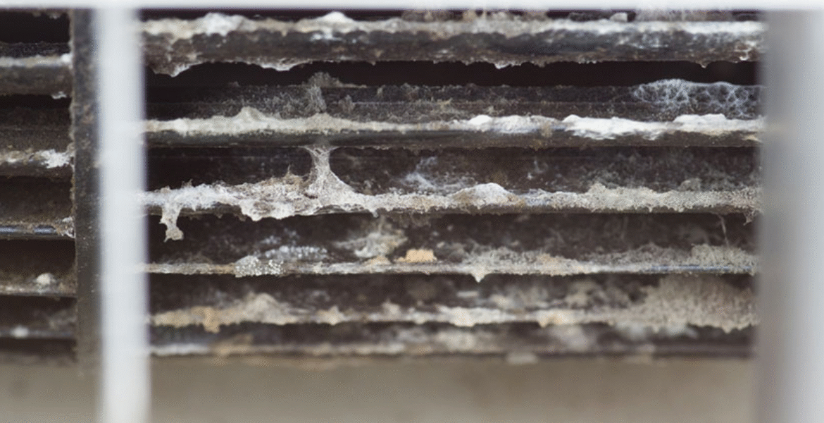 Detailed view to spot mold on air conditioner cooling fins caused by moisture and dust, often found in residential air conditioning Gold Coast and commercial air conditioning Gold Coast environments.