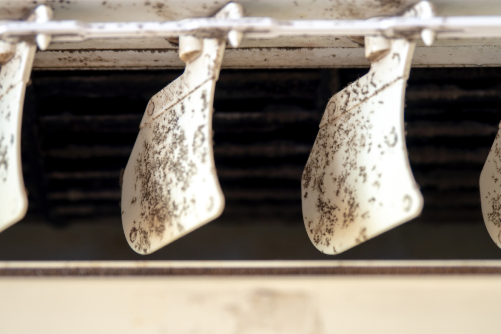 Mould in air conditioner after cleaning visible on internal vents, demonstrating why Hydro Clean is important for residential and commercial air conditioning Gold Coast systems.