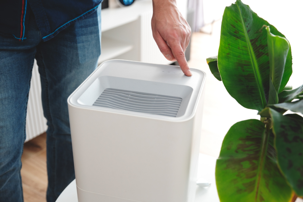 A person presses a button to activate a modern dehumidifier positioned near a tropical banana plant, showing the focused moisture control often need a dehumidifier for special environments, even alongside commercial air conditioning Gold Coast systems.