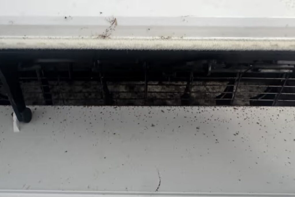 Close-up of black mould spots building up inside air vents, solved by expert air conditioning maintenance Gold Coast for clean indoor air.