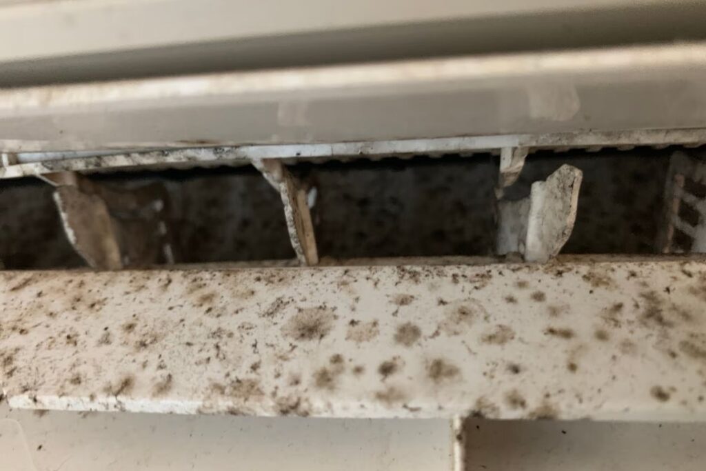 Mould and dirt built up on air conditioner fins — showing why regular aircon service and maintenance is needed.