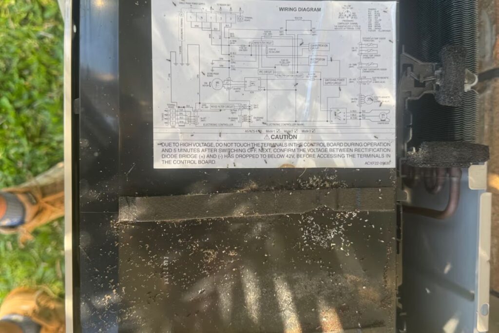 Ants swarming the wiring diagram inside an air conditioner outdoor unit on the Gold Coast